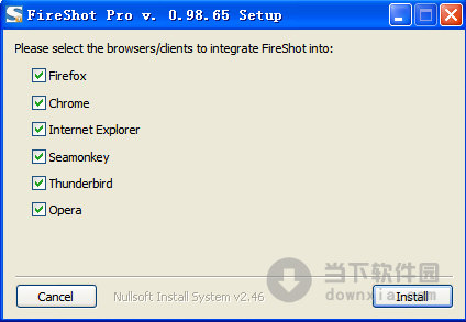 fireshot pro for chrome