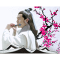百度输入法皮肤之梅长苏 免费版