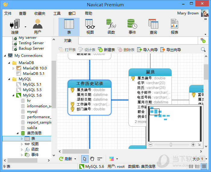 Navicat Premium 11