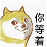斜眼柴犬qq表情包  9 绿色免费版