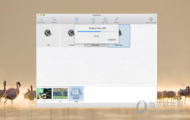 iVideoCut MAC版