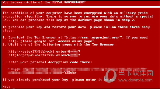 PetyaExtractor