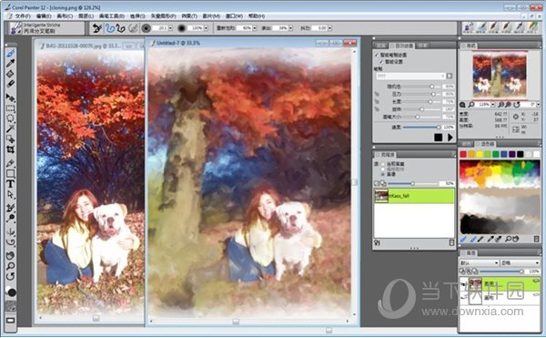 Corel Painter 12
