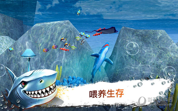 鲨鱼模拟器3DMac版
