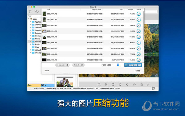 XView2