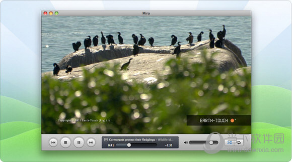 Miro for Mac