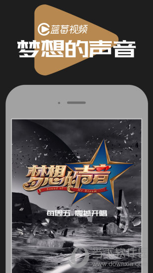 蓝莓视频电脑版