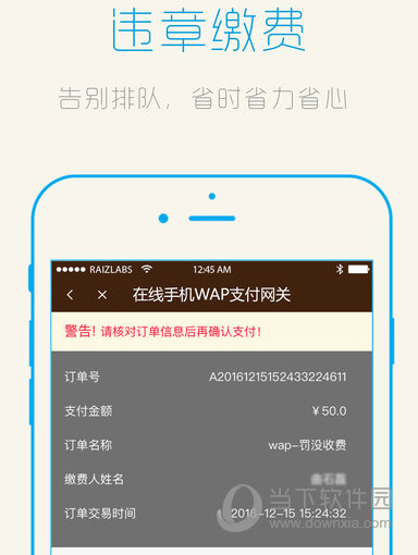违章缴费易