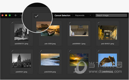 Pixy PhotoManager For MAC