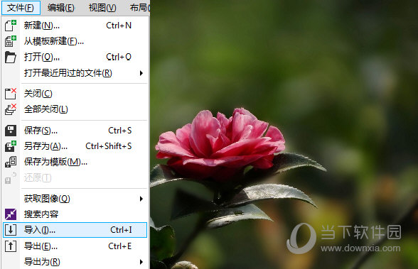 打开CorelDRAW导入一张图片