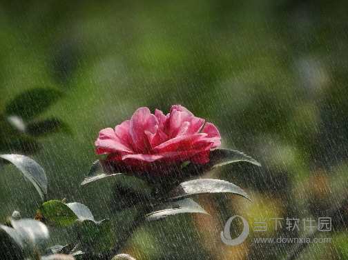 雨天最终效果图