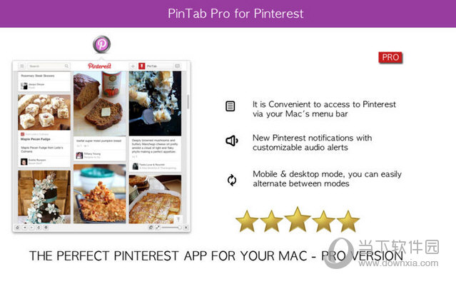 Pinterest助手专业版 Mac版下载