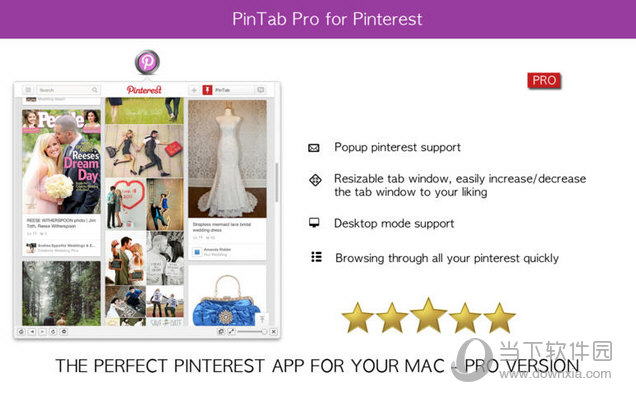 Pinterest助手专业版 for Mac版
