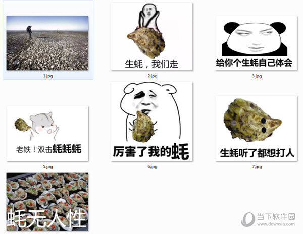 生蚝表情包下载|生蚝qq表情  9 免费版 下载_当下软件园_软件下载