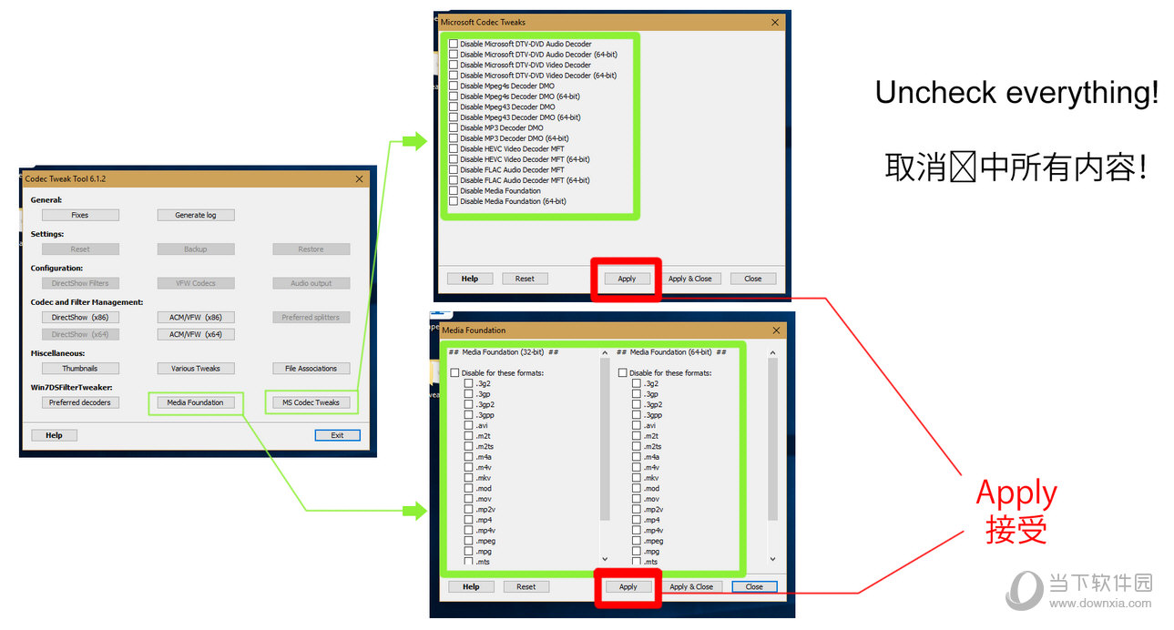 Codec Tweak Tool操作方法