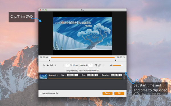 Aiseesoft DVD Ripper Lite