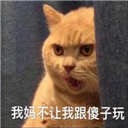 我妈不让我跟傻子玩表情包 +9 免费版