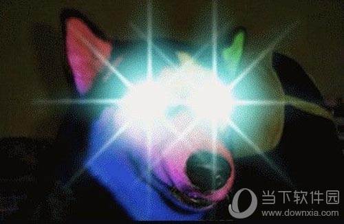 【这是一段总结 亮瞎双眼】