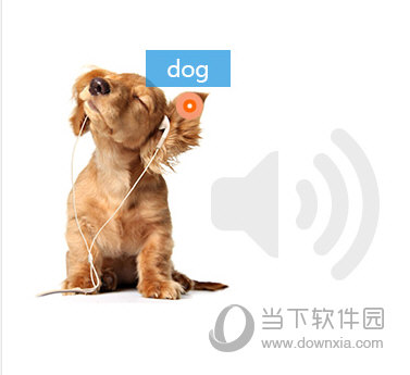 网易有道词典Linux版
