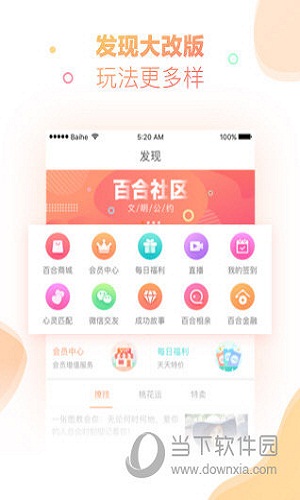 百合婚恋电脑版下载