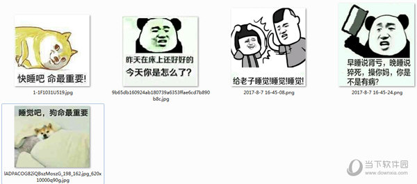 睡觉吧狗命最重要表情包  6 免费版