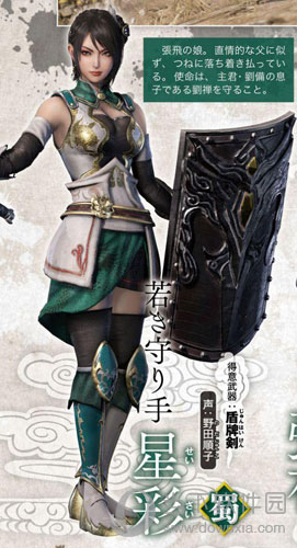 真三国无双8星彩