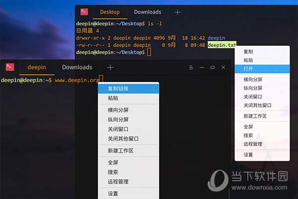 深度终端下载