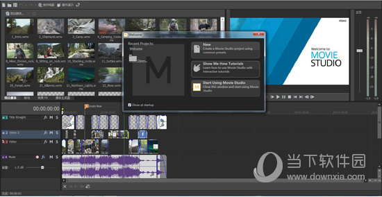 Movie Studio 14 