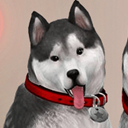 模拟人生4哈士奇MOD 免费版 免费版