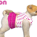 模拟人生4狗狗裙子MOD 免费版 免费版