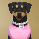 模拟人生4小型犬的钻石项圈MOD 免费版 免费版