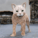 上古卷轴5喵星人查理随从MOD 免费版 免费版