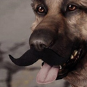 辐射4山羊胡子MOD 免费版 免费版