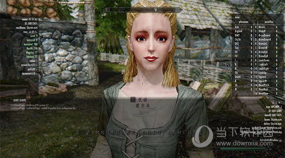 上古卷轴5全天际女性脸部美化包MOD