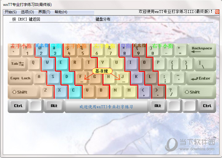 wxTT专业打字练习