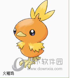 火稚鸡(アチャモ)