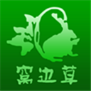 窝边草 V1.3.4 安卓版