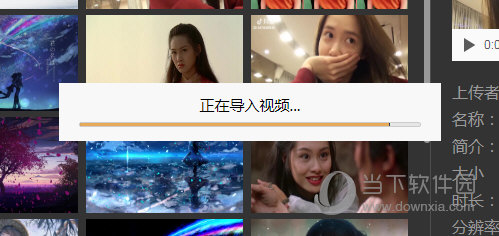 选择要导入的视频文件