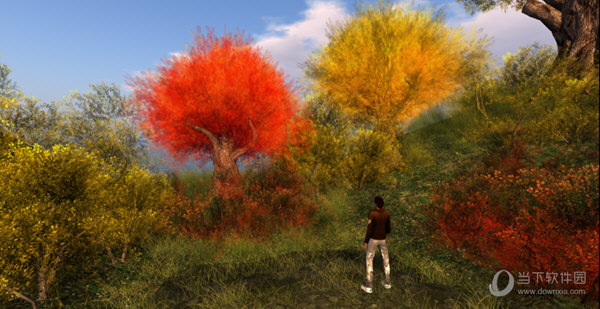 Second Life