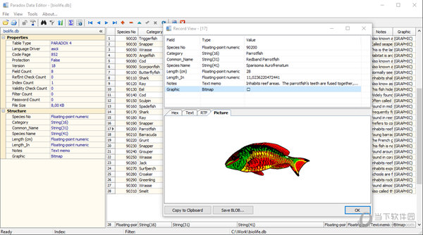 Paradox Data Editor