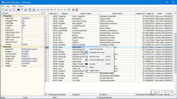 Paradox Data Editor