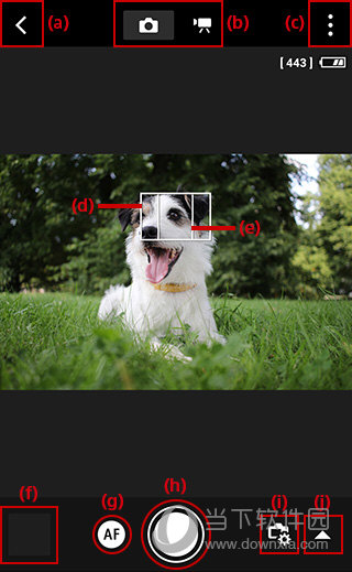 Canon Camera Connect