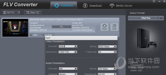 Dimo FLV Video Converter