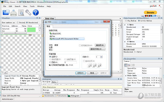 binary viewer打印