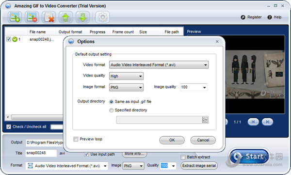 Amazing GIF to Video Converte