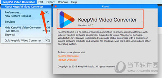 KeepVid Video Converter