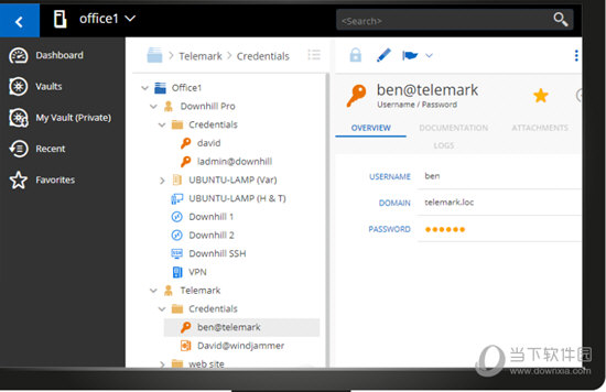 Devolutions Server Platinum