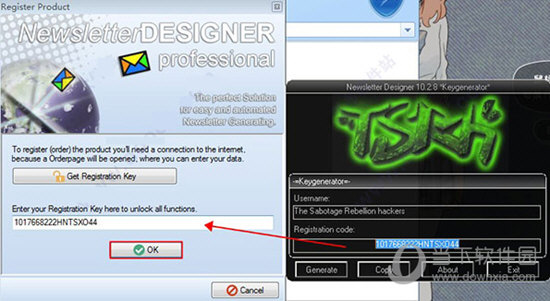 NewsletterDesigner