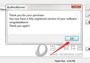 3nity Audio CD BURNER