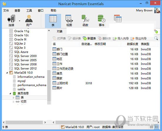 navicat premium